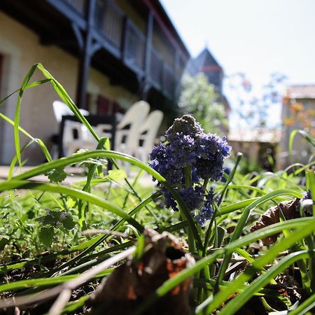 Au Repos Des Elfes Villa Braye-sous-Faye ภายนอก รูปภาพ