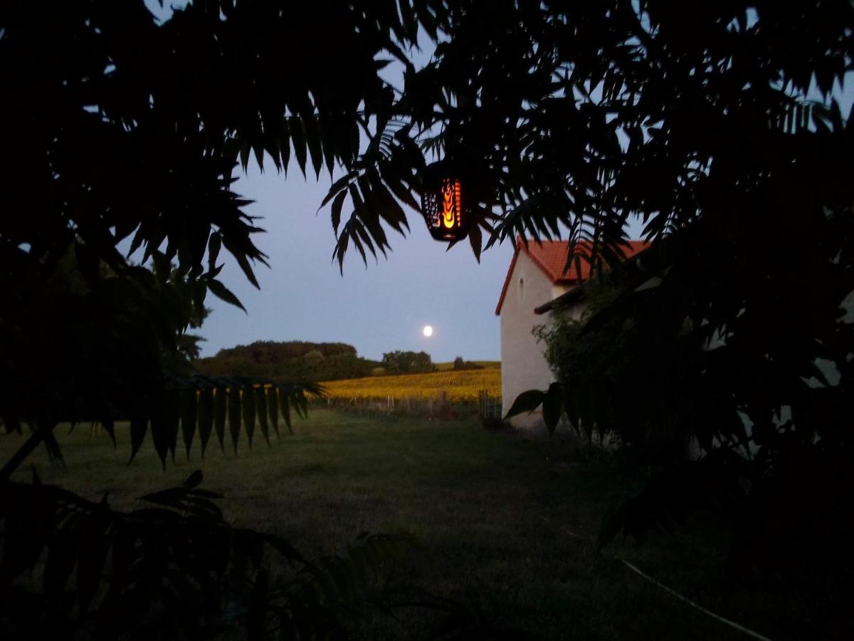 Au Repos Des Elfes Villa Braye-sous-Faye ภายนอก รูปภาพ