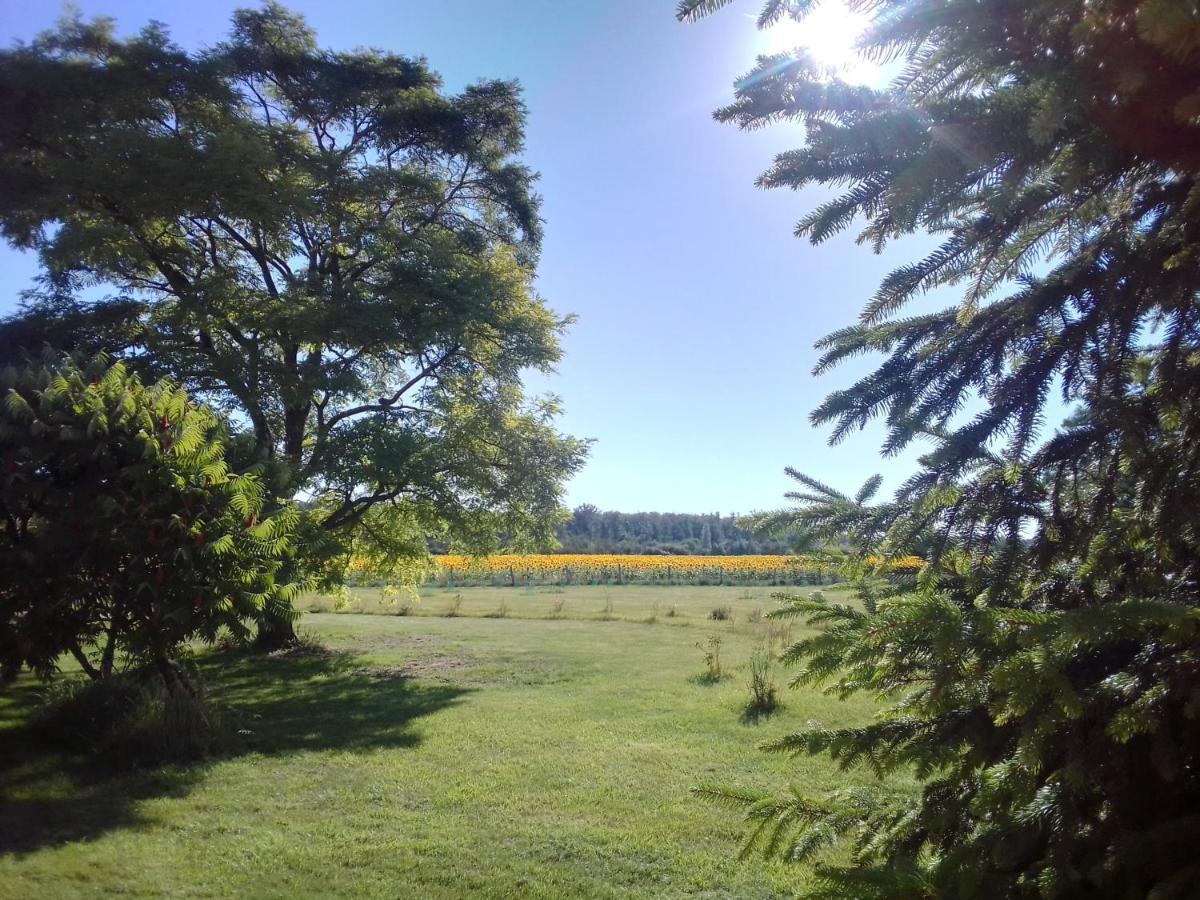 Au Repos Des Elfes Villa Braye-sous-Faye ภายนอก รูปภาพ