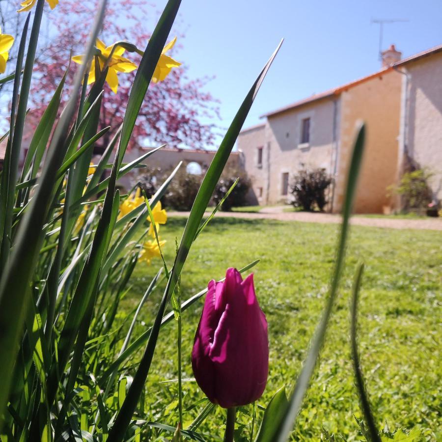Au Repos Des Elfes Villa Braye-sous-Faye ภายนอก รูปภาพ