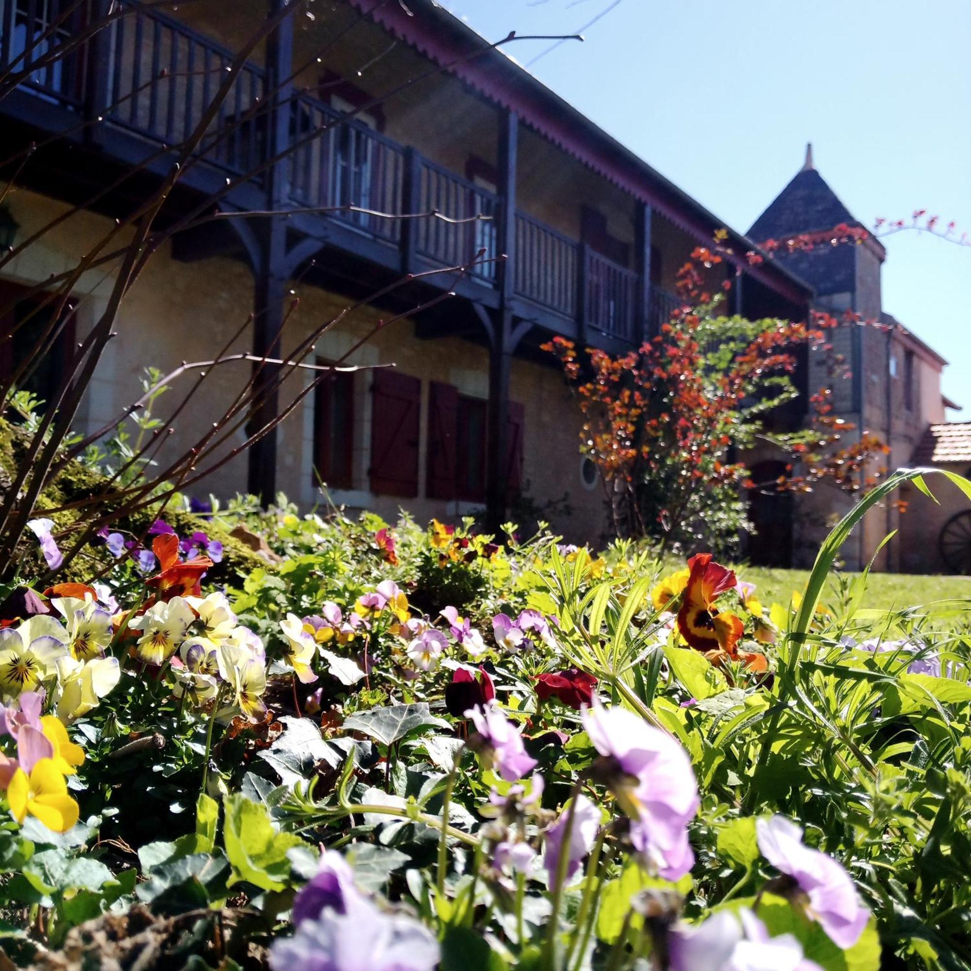 Au Repos Des Elfes Villa Braye-sous-Faye ภายนอก รูปภาพ