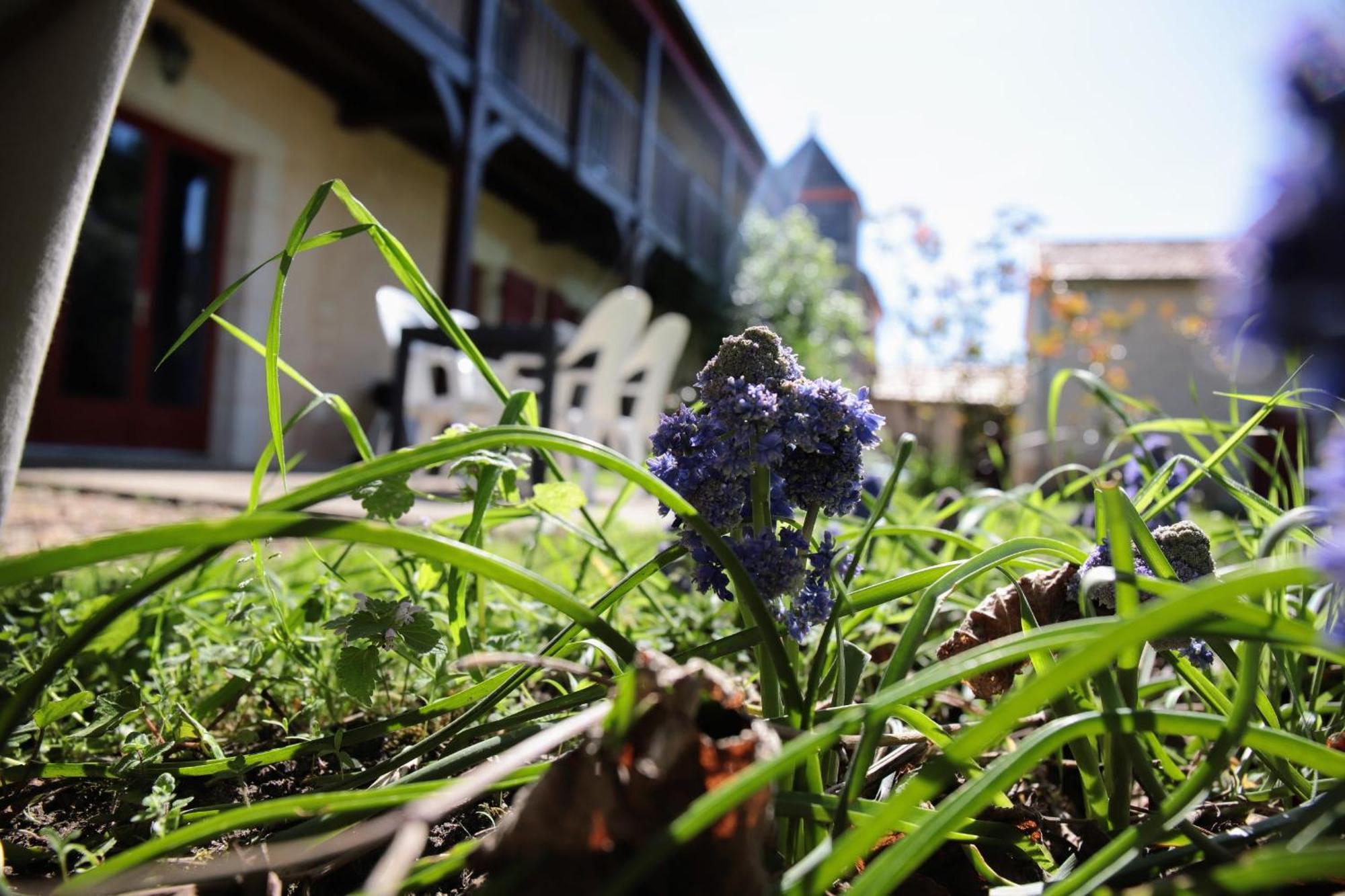 Au Repos Des Elfes Villa Braye-sous-Faye ภายนอก รูปภาพ